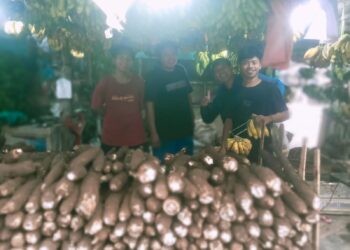 Cuaca Dingin, Omset Pedagang Singkong Meningkat