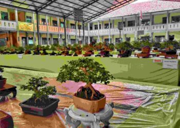 Ratusan Bonsai Berjajar Ikuti kontes dan Pameran Koboi Subang Pantura