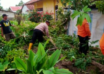 Polsek Legonkulon Gotong Royong Bantu warga Bersihkan Puing-Puing Akibat Angin Puting Beliung Yang Menyapu Rumah Warga