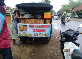 Hujan-Hujan, Ngopi, Ngeteh, Tambulnya Ubi Cilembu Hangat