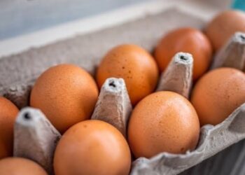 10 Kabupaten Produsen Telur Terbanyak di Jawa Barat, Subang Ada Nggak ya…?