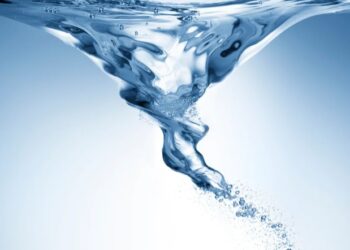 Zohnerisme, Bodo Katotoloyo