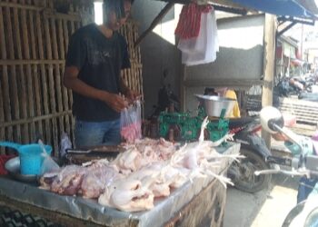 Jelang Lebaran, Harga Daging Ayam di Pantura Subang Bisa Tembus Rp 40.000 Lebih per Kg