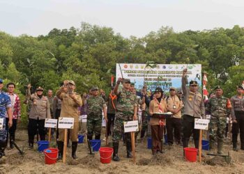 Pangdam III/Siliwangi Bersama Kapolda Jabar Tanam Ribuan Mangrove di Pesisir Pantai Pondok Bali