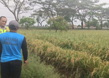 Sambang Desa, Bhabinkamtibmas Polsek Pamanukan Himbau Petani Di Desa Rancasari Tidak Membakar Jerami