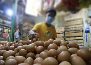 Harga Telur Melambung, Emak-Emak Bingung