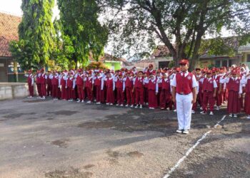 Persiapan Daftar, Ketahui Syarat PPDB Jenjang SD di Pantura Subang