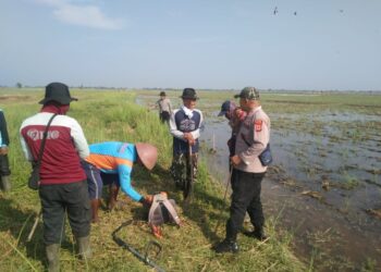 Polisi RW Polsek Pamanukan Bantu Petani Basmi Hama Tikus