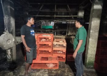 Harga Daging Ayam Potong Mahal, Polsek Pamanukan Cek Pasar Inpres Pamanukan