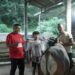 JETLI, Sapi Kurban Berbobot 500kg Asal Subang pilihan Bang Ara untuk TMP Jawa Barat
