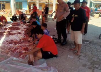 Pastikan Pemotongan dan Pembagian Hewan Kurban Aman, Kapolsek Pamanukan Lakukan Monitoring