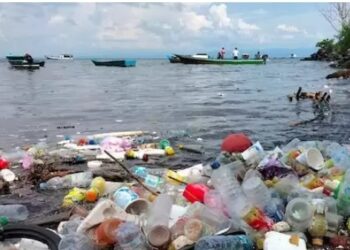 Hari Lingkungan Hidup Sedunia, Melawan Sampah Plastik