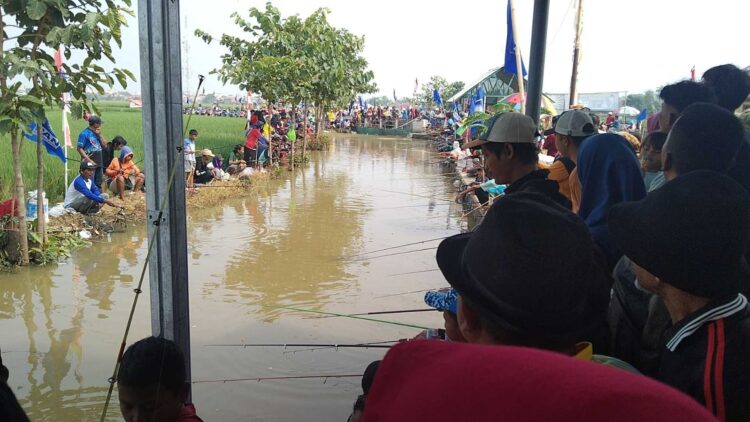 3000 Peserta Perebutkan Hadiah Rp 1 Juta Lomba Mancing Ikan Lele di Desa Mulyasari