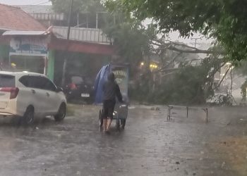 Pohon Tumbang di Subang, Pengendara yang Ngabuburit Berbalik Arah