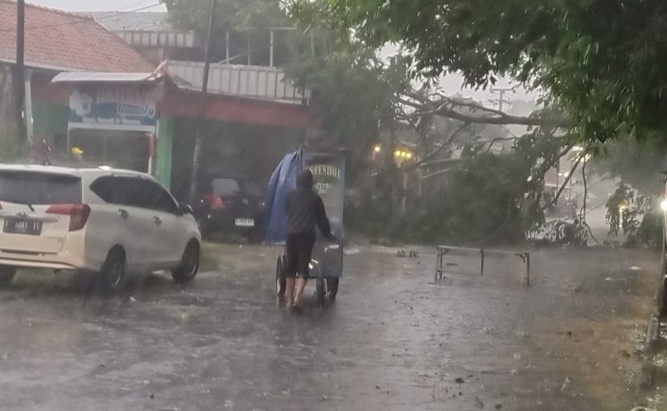 Pohon Tumbang di Subang, Pengendara yang Ngabuburit Berbalik Arah
