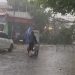 Pohon Tumbang di Subang, Pengendara yang Ngabuburit Berbalik Arah