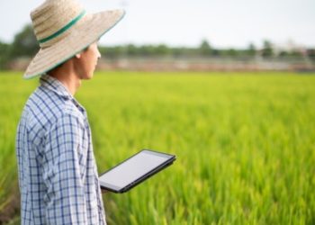 Bukan Subang atau Indramayu, Kabupaten Tetangga Bogor ini Memiliki Petani Muda Terbanyak di Jawa Barat