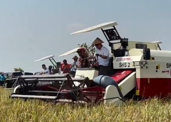 Sempat Jajal Combine Panen Padi, Zulhas Janjikan 1.300 Ton Pupuk Subsidi ke Petani Subang