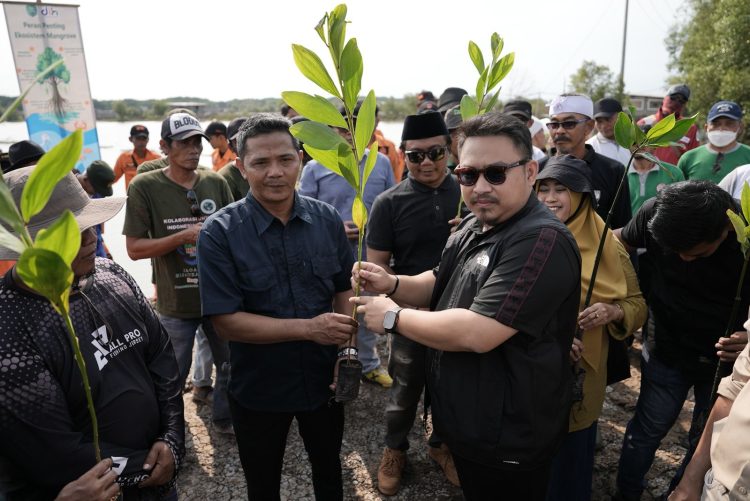 Pelestarian Mangrove di Legonkulon, Bupati Subang Serukan Aksi Nyata