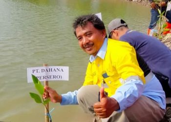 PT DAHANA Tanam 24.000 Mangrove untuk Mitigasi Perubahan Iklim