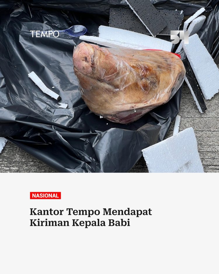 Tempo Terima Paket Berisi Kepala Babi, Diduga Teror Terhadap Jurnalis