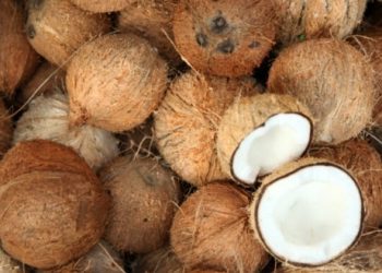 Kemana Menggelindingnya Kelapaku?