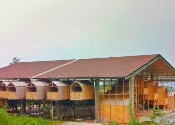 Gedung Kesenian Ranggawulung: Rp6 Miliar untuk “Kandang Merpati”