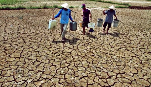 Waspada Kemarau 2025: BMKG Prediksi Puncak Kekeringan