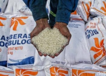 Bulog Optimistis Capai Target Penyerapan 3 Juta Ton Beras di Musim Panen Raya 2025