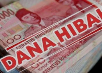 Menelusuri Kerawanan Dana Hibah dalam Tata Kelola Keuangan Publik