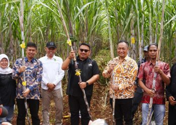 Tebu Subang Bangkit! Bupati Kang Rey Siap Gaspol Industrialisasi Gula 2027