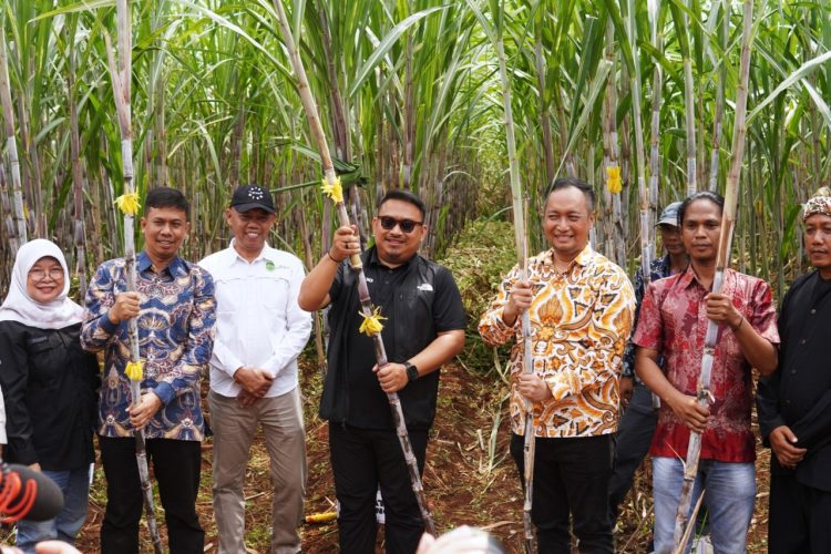 Tebu Subang Bangkit! Bupati Kang Rey Siap Gaspol Industrialisasi Gula 2027