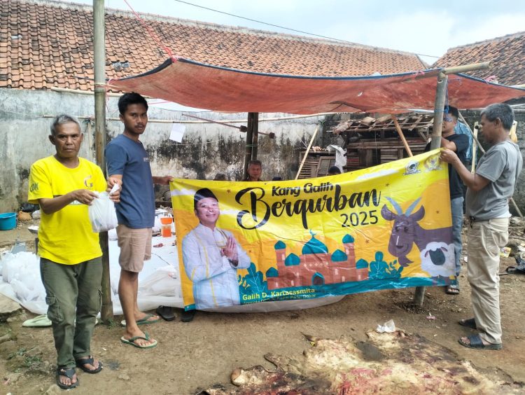 Kang Galih Kartasasmita Salurkan 12 Ekor Sapi Kurban di Tiga Kabupaten