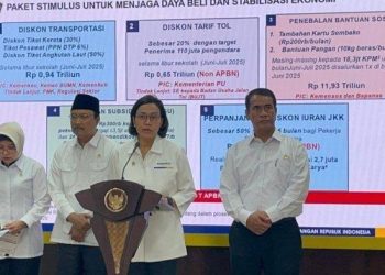 Program Diskon Listrik 50% Batal